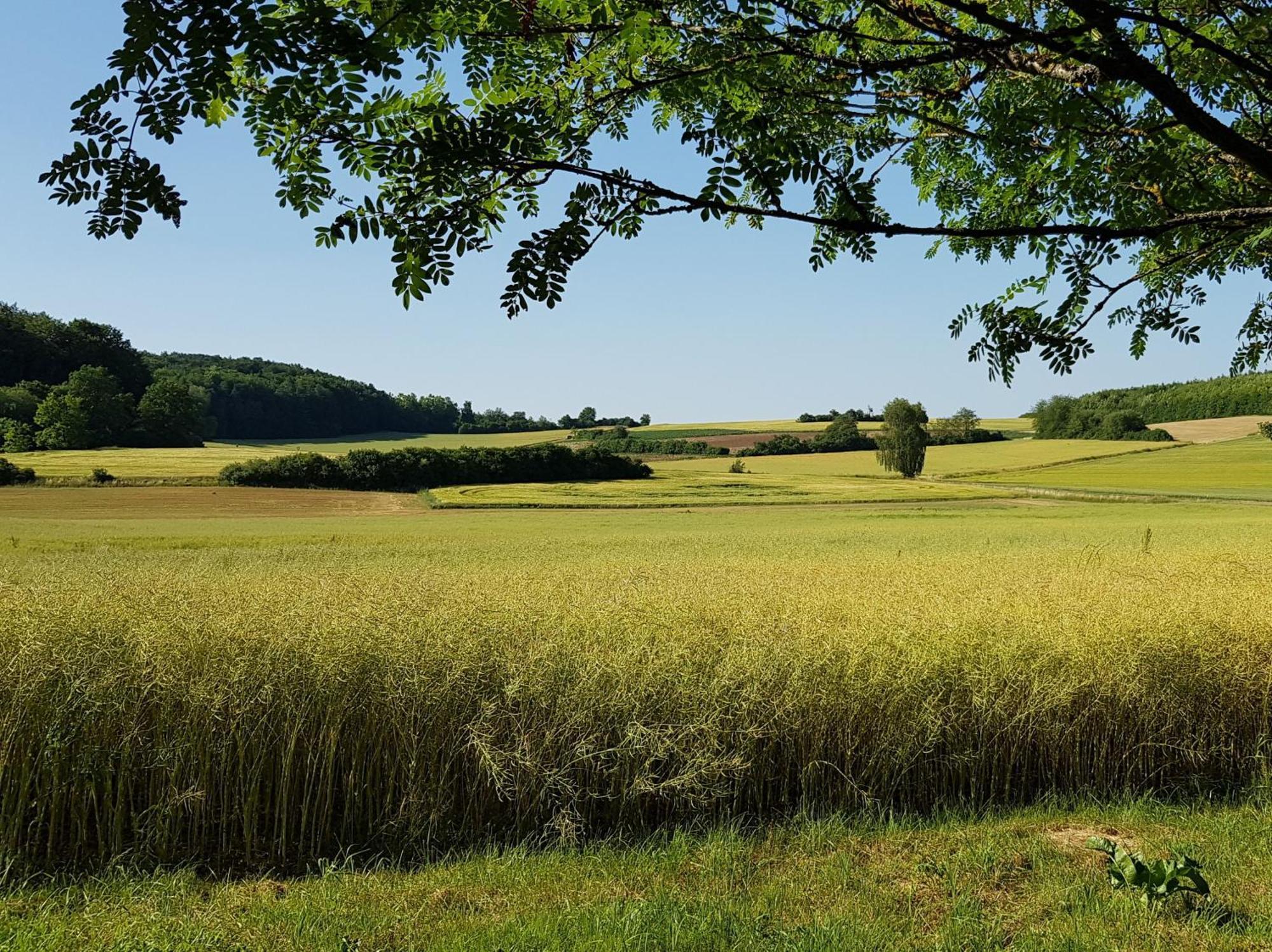 Ferienhaus Forstblick 베첸스테인 외부 사진